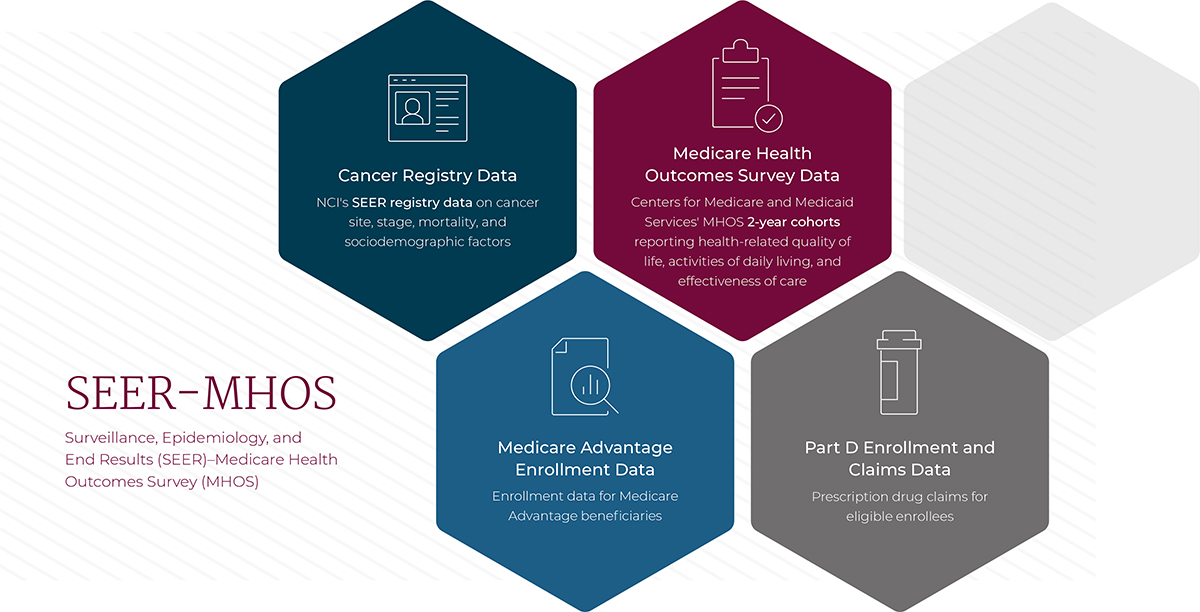 Graphic showing what is included in seer-mhos data